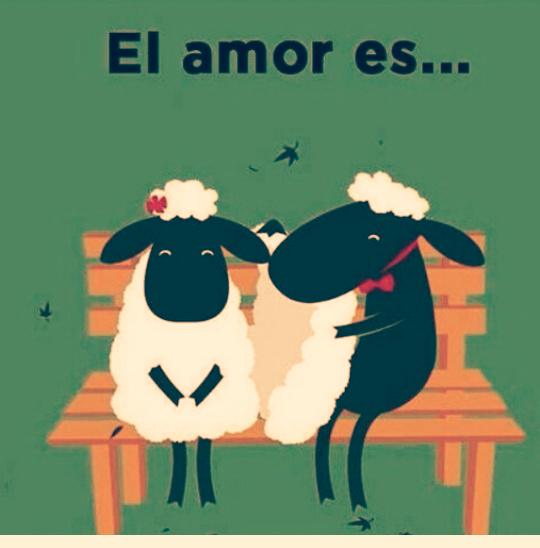 isacasta's tweet photo. Buenos días http://t.co/AL06ulDdxT