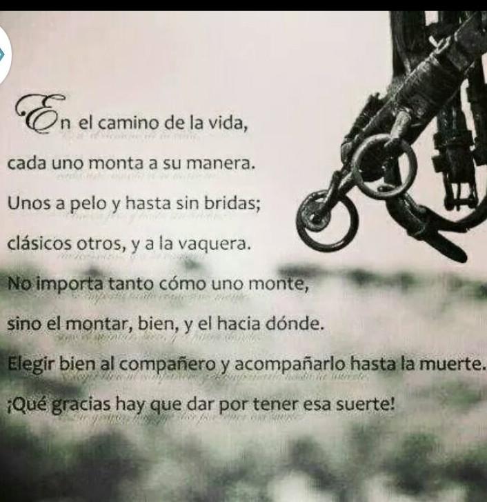 miguel angel cabrera (@m_angelcabrera) on Twitter photo 