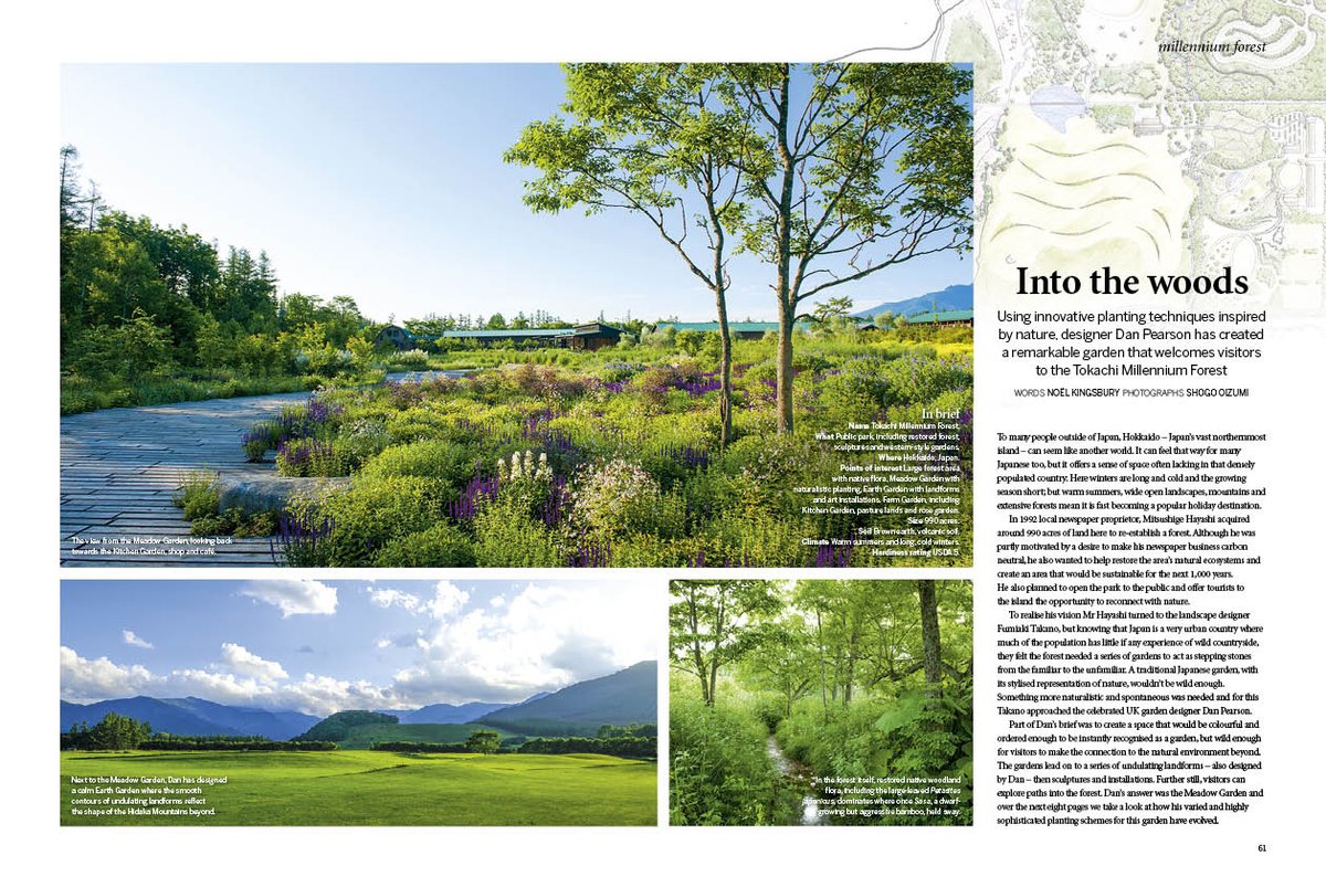 @GdnsIllustrated: innovative planting techniques explored #Dan Pearson #MillenniumForest Japan - Jan issue out Friday