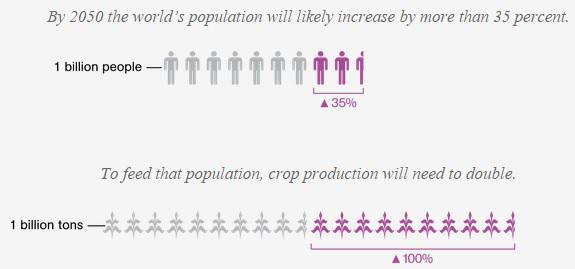 Permalien de l'image intégrée