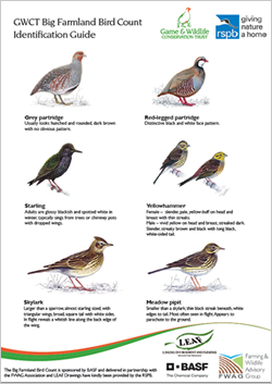 The Game & Wildlife Conservation Trust tweet media