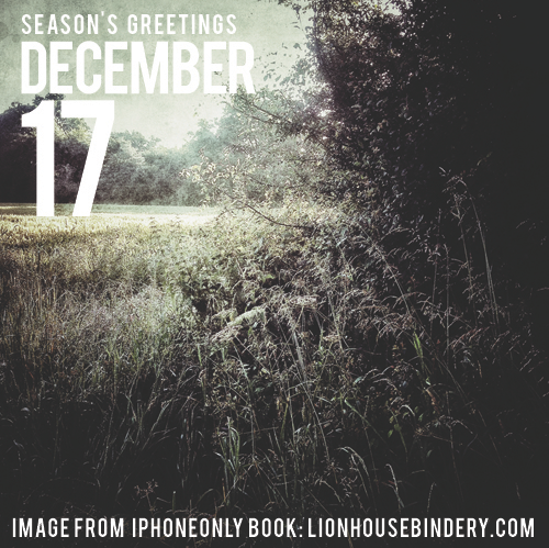 LHBindery's tweet photo. #Christmas #Countdown #AdventCalendar @juliancalverley http://t.co/h1Pn97JlUl