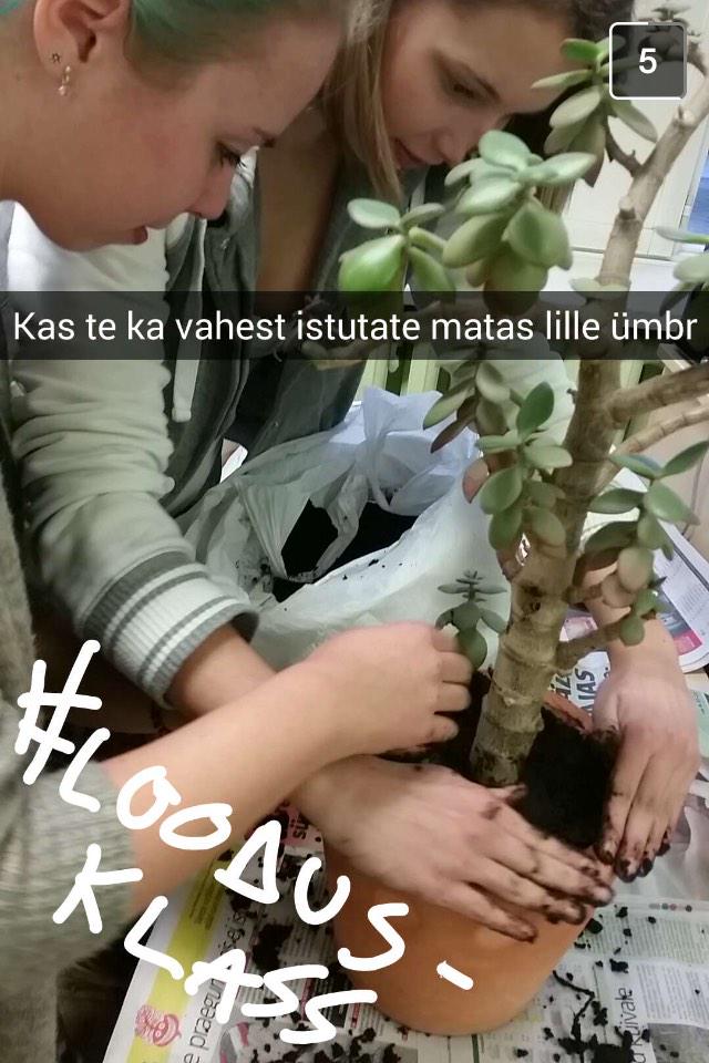 Heinapall's tweet photo. Kas teid paneb ka mata õpetaja tunnis taimi istutama? 😃 #loodusklass #surka xd http://t.co/eJVZkqn8qa