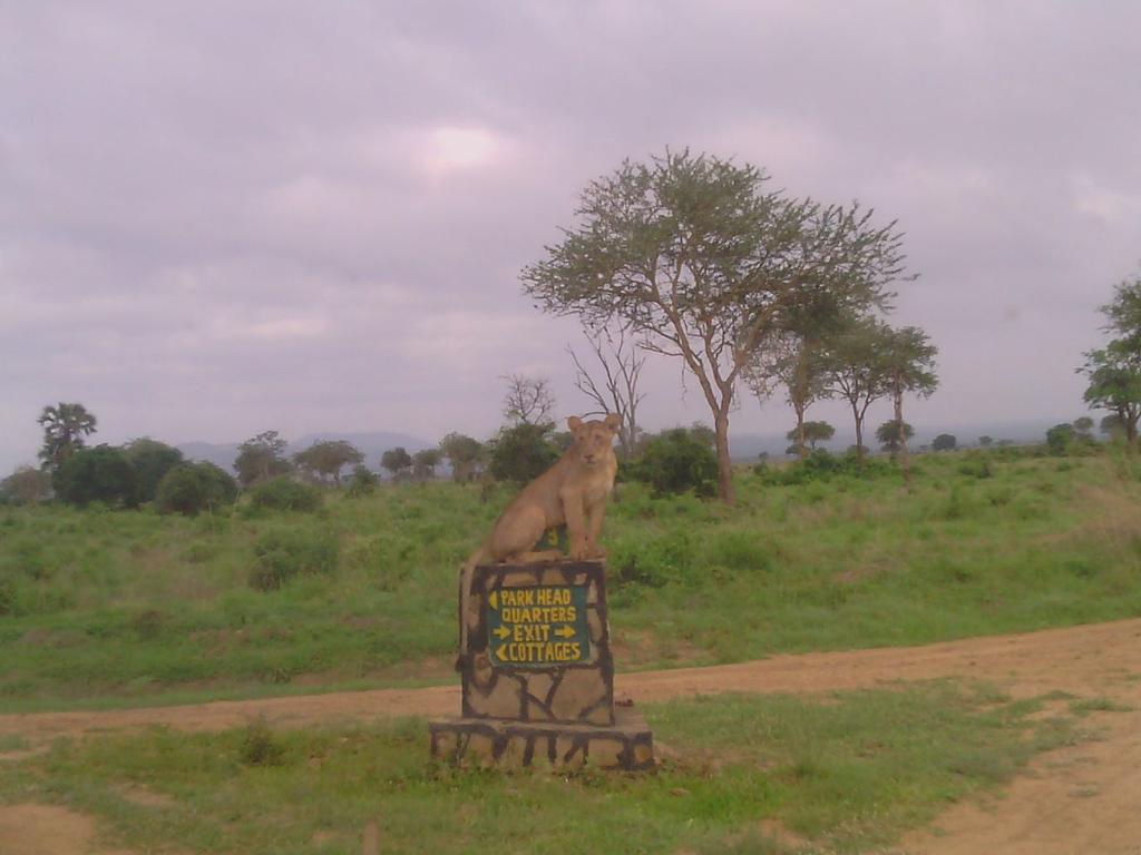 Easy accessible park with lots of fun!