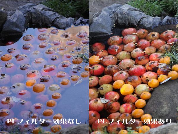 ホビーサーチ フィギュア Auf Twitter Erumaerまとめ 一眼レフユーザー必携 水やガラスの反射を消してくれるpl 偏光 フィルターの効果がすごい Http T Co O7ecsfzyf5 水面の反射が取り除かれ 水が消えたかのように果物がくっきり写ってます Http T Co ホビーサーチ フィギュア Auf Twitter Erumaerまとめ 一眼レフユーザー必携 水やガラスの反射を消してくれるpl 偏光 フィルターの効果がすごい Http T Co O7ecsfzyf5 水面の反射が取り除かれ 水が消えたかのように果物がくっきり写ってます Http T Co