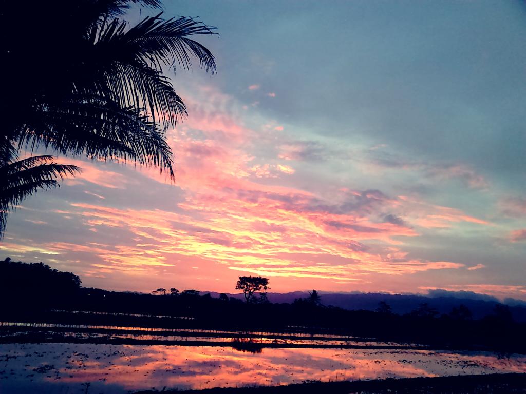 Layung Senja @pasagmerapi <a href="/IniSleman/">IG : @ini.sleman</a> <a href="/Jogja24Jam/">Jogja24Jam</a> <a href="/InfoSeyegan/">Info Seyegan</a>