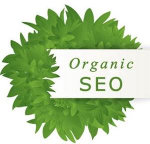 Crescent_eye's tweet photo. Promote your business on the world's top search engines.
Email- marketing.crescenteye@gmail.com http://t.co/1m6PtpJ7mD