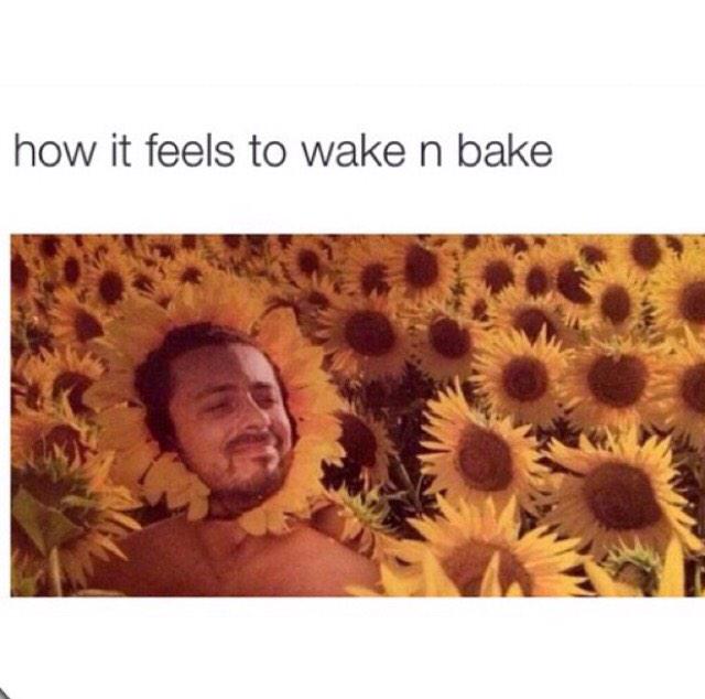 StonersSaid's tweet photo. You have to love the Wake and Bake. #WakeAndBake #goodmorning http://t.co/MfqJuPcRVR