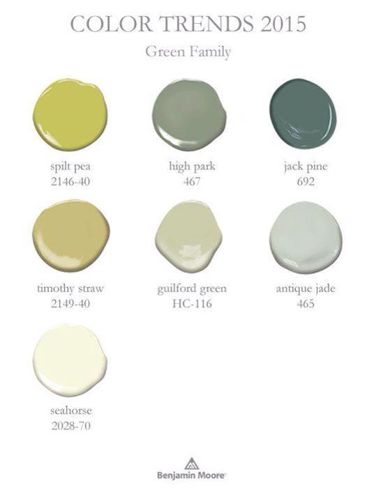 mcmorrowconst's tweet image. Consultations booking into the new year! What you can expect to see #2015 #colourtrends