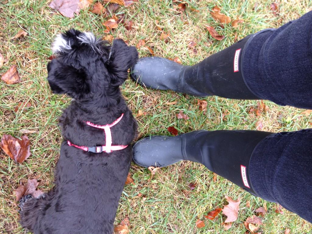 ledgerKnightX's tweet photo. Absolutely LOVE my @HunterBoots on damp, dark, rainy days like today! #PrinceEdwardCounty #WeatherWon'tStopMe http://t.co/ROkMqWUFmD