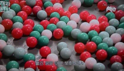 도쿄맑음 tweet media