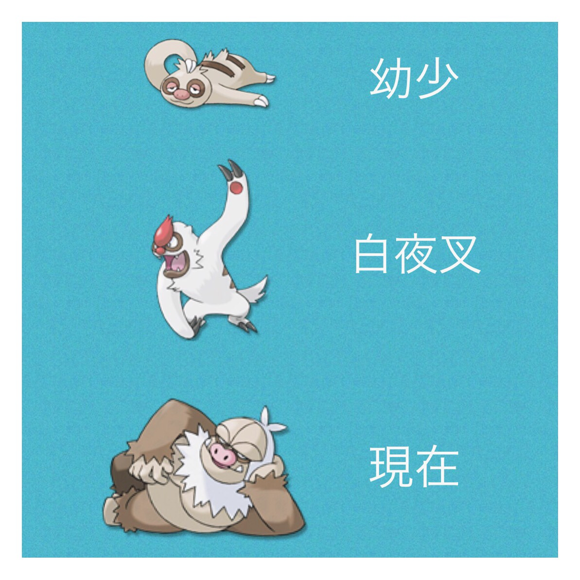 鳴善 ポケモンのナマケロ ヤルキモノ ケッキングの進化過程って坂田銀時に似てるね Http T Co Lclx7jb6r5 Twitter 鳴善 ポケモンのナマケロ ヤルキモノ ケッキングの進化過程って坂田銀時に似てるね Http T Co Lclx7jb6r5 Twitter