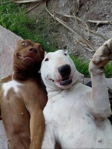 LoQUelos's tweet photo. Propósito de #añonuevo 3: Ya no publicar tantos #selfies http://t.co/n0aLvLplK8 #LoQUo http://t.co/qcUscZ028r