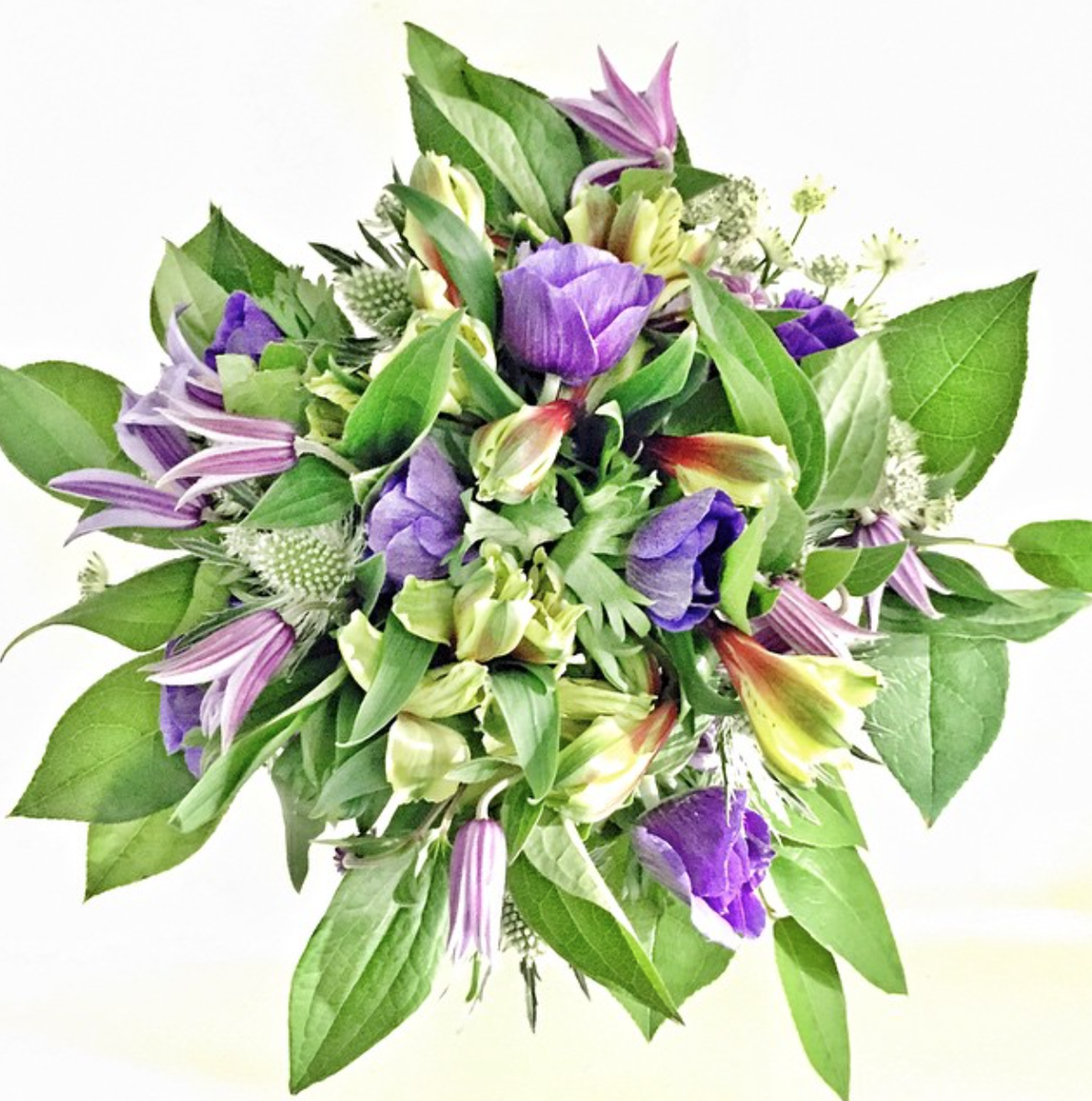 DesignHunting's tweet photo. Flowers, simplified; @PetalbyPedal delivers to NYC by bike and arrives same day, rain or shine http://t.co/M2dcGR6gti http://t.co/krzWR4WzkW