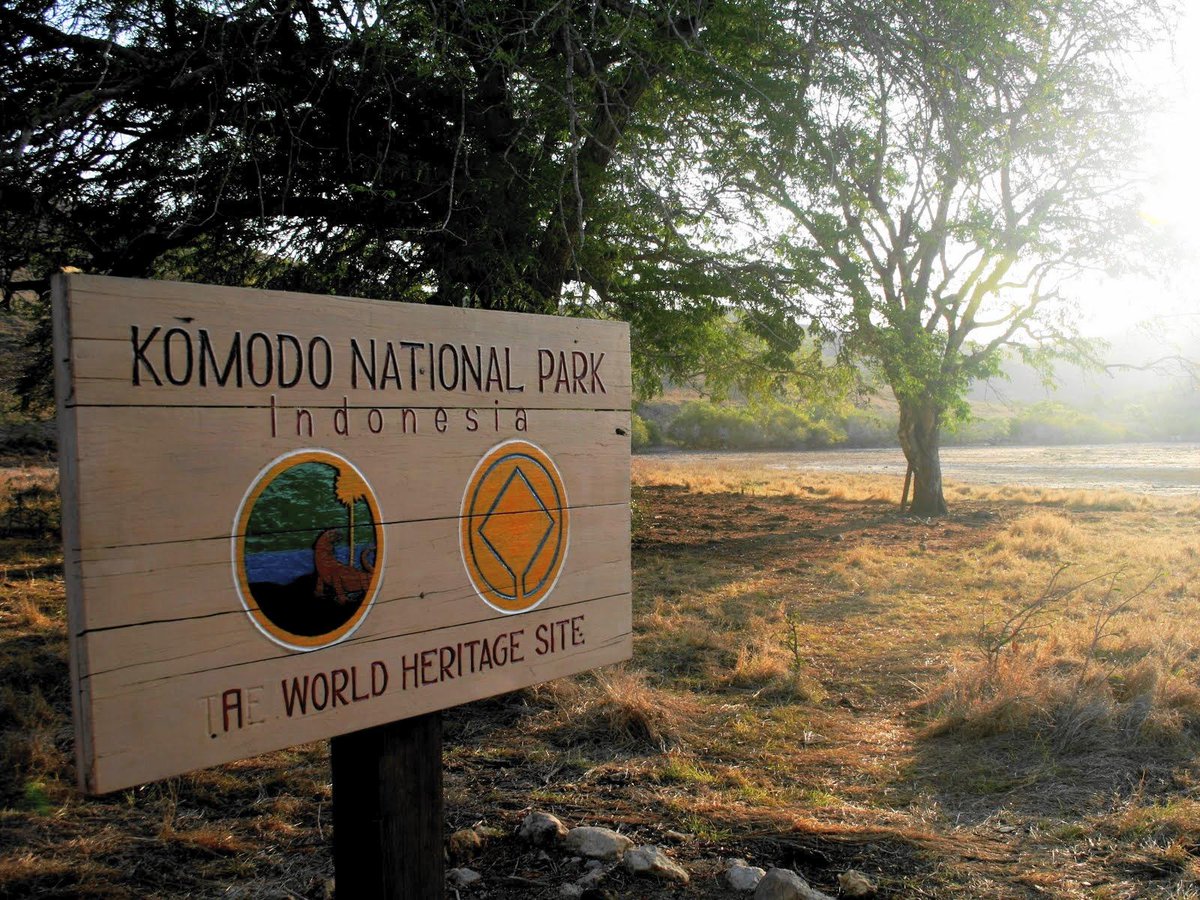 ToursLine's tweet image. Travel to Komodo Island  - Time to get
More impressions!
tours-line.com/#!komodo-islan…