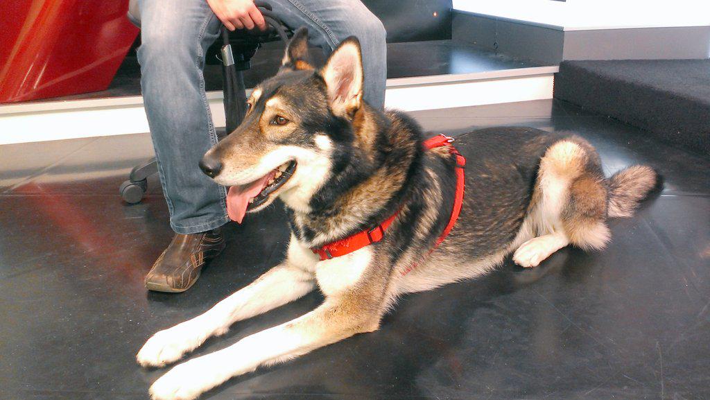 GlobalEdmonton tweet picture
