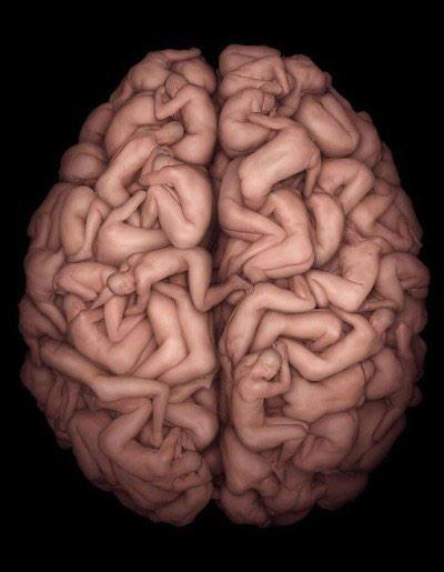 PrivilegeHealth's tweet photo. Got optimum brain health? Get privilege. ♔ #BrainHealth #ProtectYourBrain #OptimizeYourBrain #Neurogenesis #NoDrugs http://t.co/XoeV6yykXk