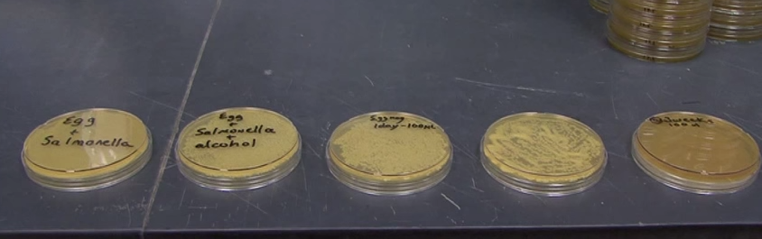 Permalien de l'image intégrée
