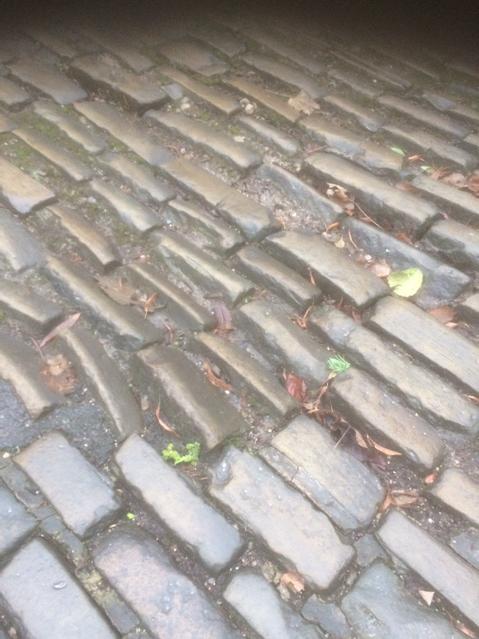 w_wheelers's tweet image. #parisroubaix ? No #michaelgate #lincolngrandprix #nationalroadrace !! Lots of #repairs needed