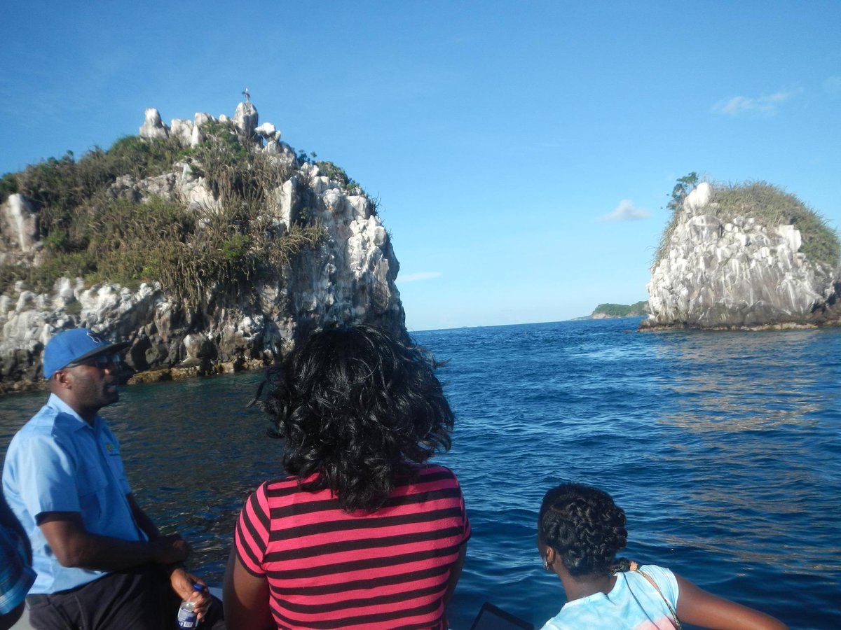 SIOB.MPA tweet media