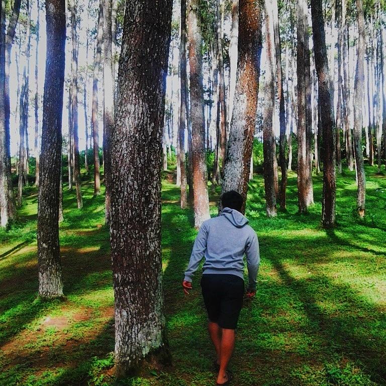 Look deep into nature, you will find everything better