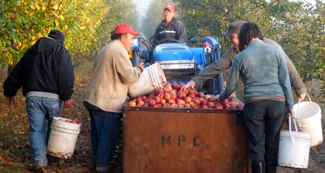 Foodwise tweet media