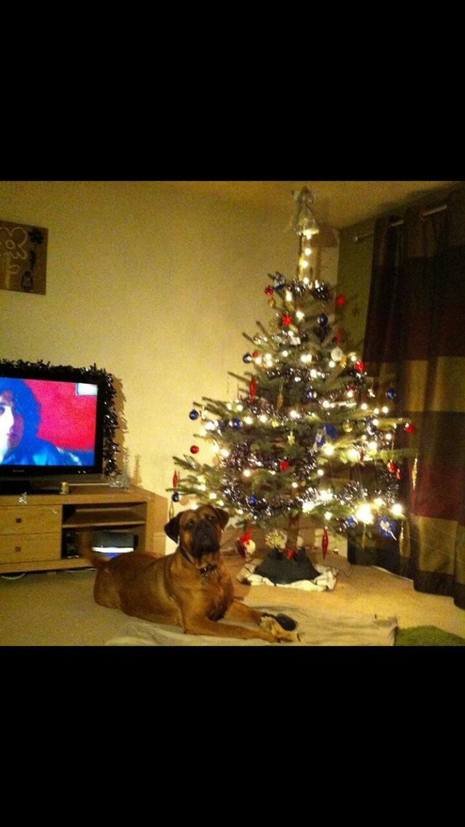 gregBGFL tweet picture