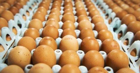 Jason Harris RE tweet media