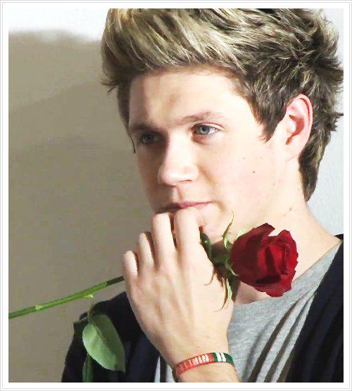 niall_horan_sp's tweet photo. Ive tried playing it cool,but when Im looking at you,I cant ever be brave Cause you make my heart race @NiallOfficial http://t.co/jaDSpJVLvr