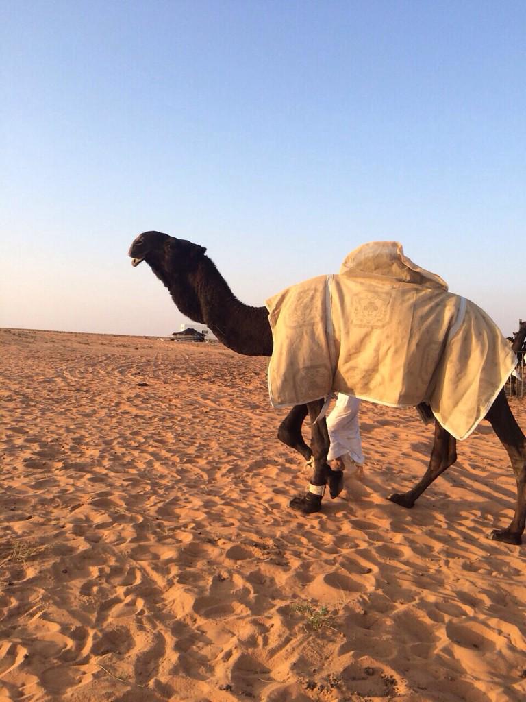 صليبان ابن صلفه العتيبي