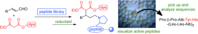 angew_chem's tweet photo. Histidine-Containing Peptide Catalysts Developed by a Facile Library Screening M... (K. Kudo) http://t.co/g07WebXHs2 http://t.co/nJ86CPLP4v