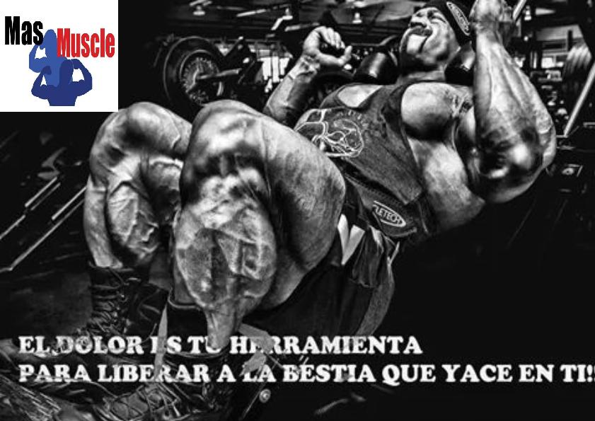 MuscleMas tweet picture