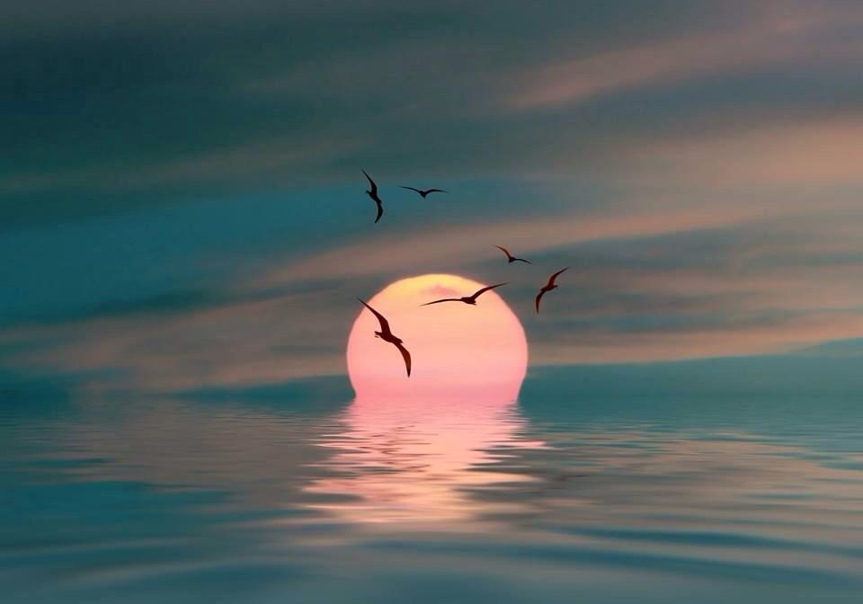 PinarAkal1's tweet photo. Always come from a place of love and you will never be wrong. 

pic via @Gabriele_Corno http://t.co/wBOrRig1hZ
