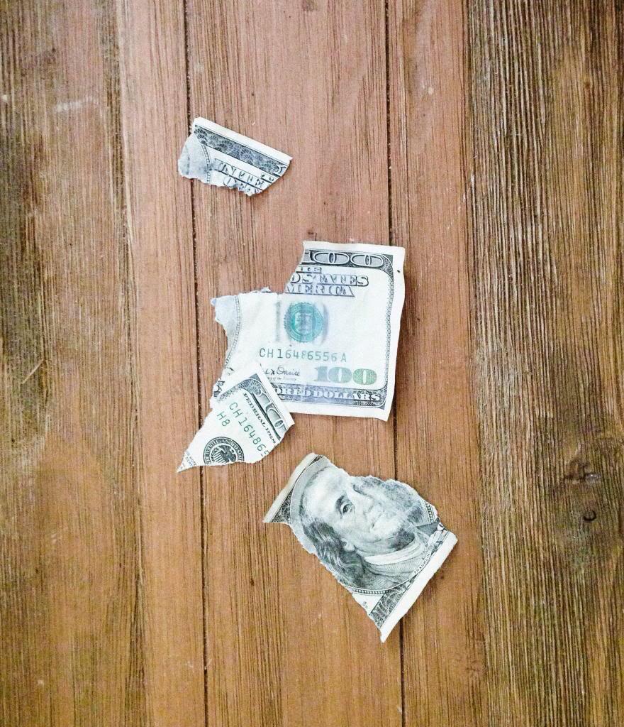 IrrelephantBlog's tweet photo. Reminiscing about the time our dogs did generous things. http://t.co/FnLwuewqTX