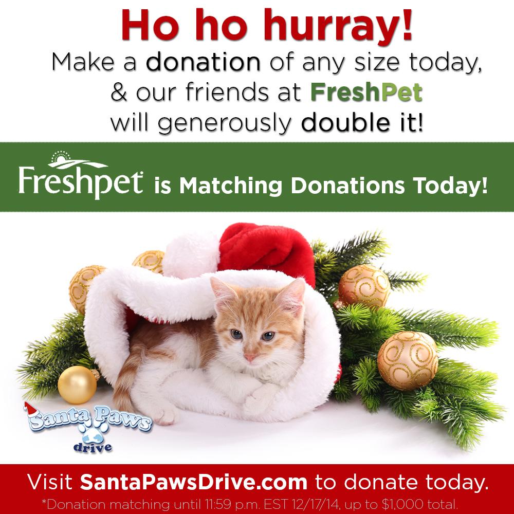 Santa Paws (@santapawsdrive) on Twitter photo Guess what? <a href="/Freshpet/">Freshpet</a> is matching donations to <a href="/SantaPawsDrive/">Santa Paws</a> today! Donate here: bit.ly/SPDdonate #SPD2014 Guess what? <a href="/Freshpet/">Freshpet</a> is matching donations to <a href="/SantaPawsDrive/">Santa Paws</a> today! Donate here: bit.ly/SPDdonate #SPD2014