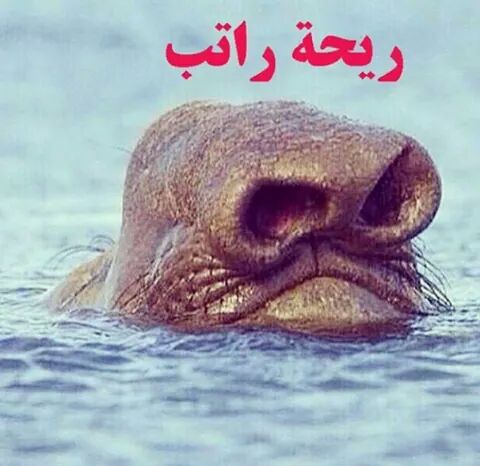 ~Abdulaziz~ (@smile_1420_) on Twitter photo 