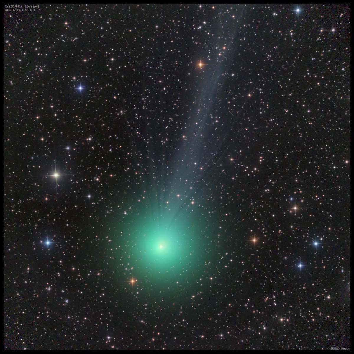 sen's tweet image. Comet Lovejoy on 16 Dec 2014 sen.com/images/damian-… image credit @sen / @peachastro #CometLovejoy