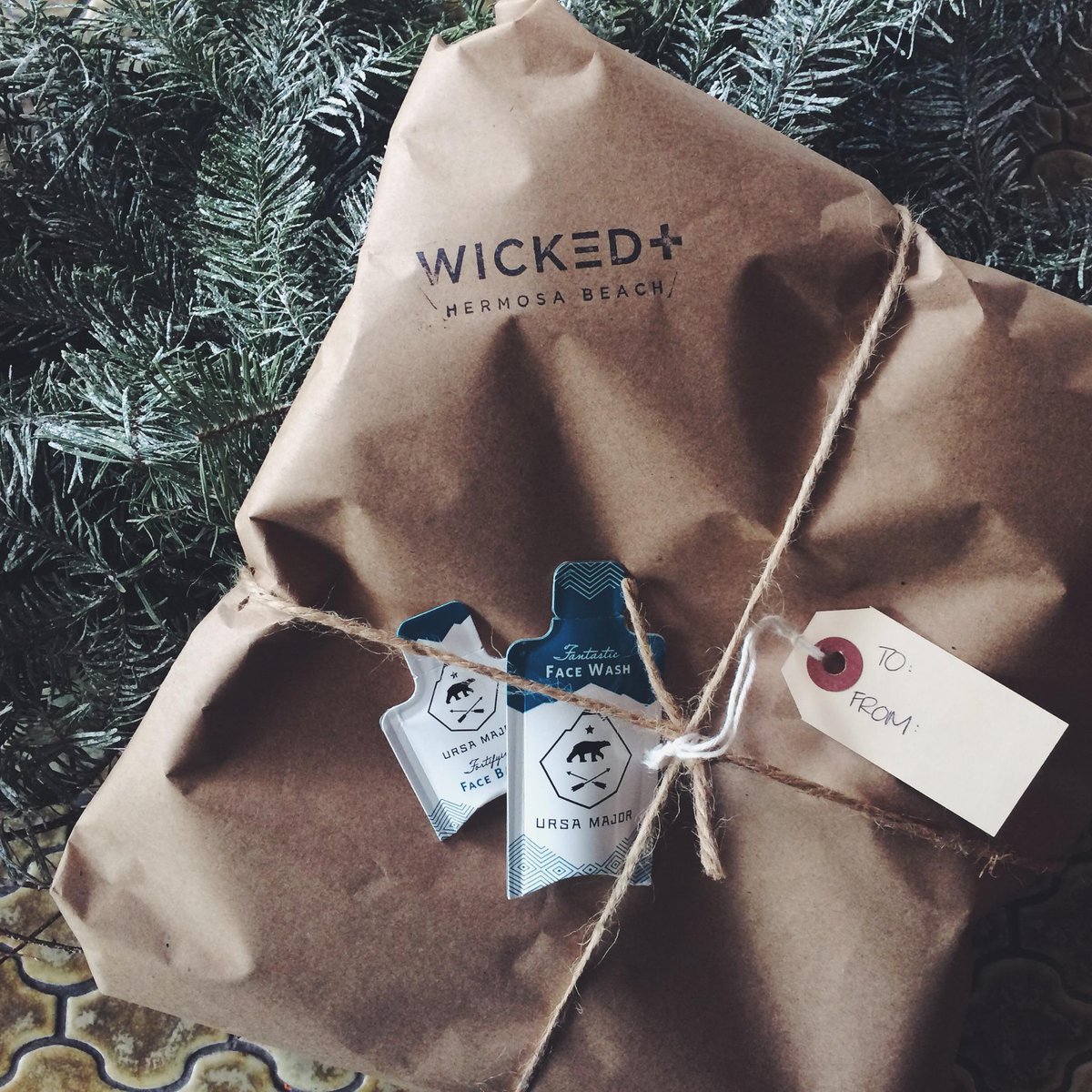 wickedplus's tweet image. Wake up on Christmas morning to a WICKED+ gift under the tree [only 8 days left].@UrsaMajorVT #holidays #hermosabeach