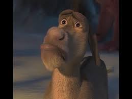 _EmilyReid_'s tweet photo. all my flatmates have gone home for christmas and I'm just here like http://t.co/F6pkktsTQl