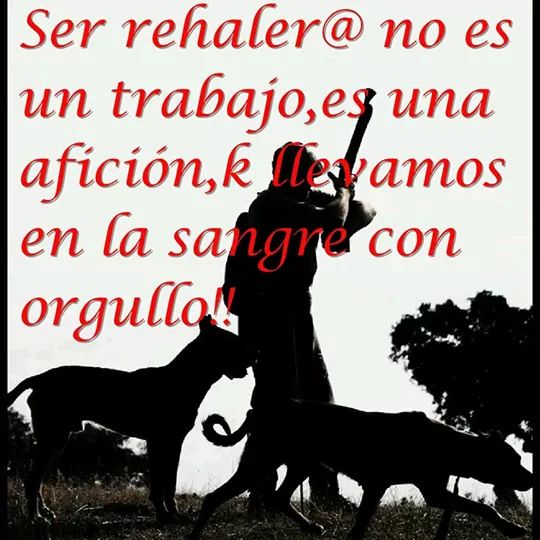 Juanperezsantana tweet media