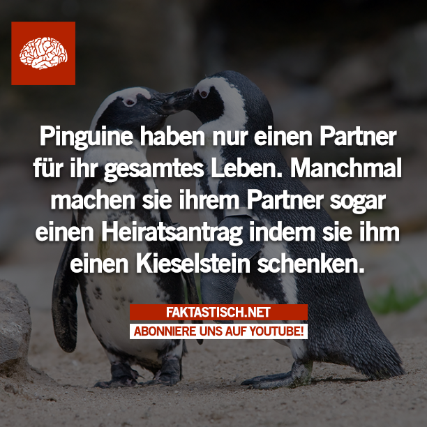 liebeskummer sprueche kurz