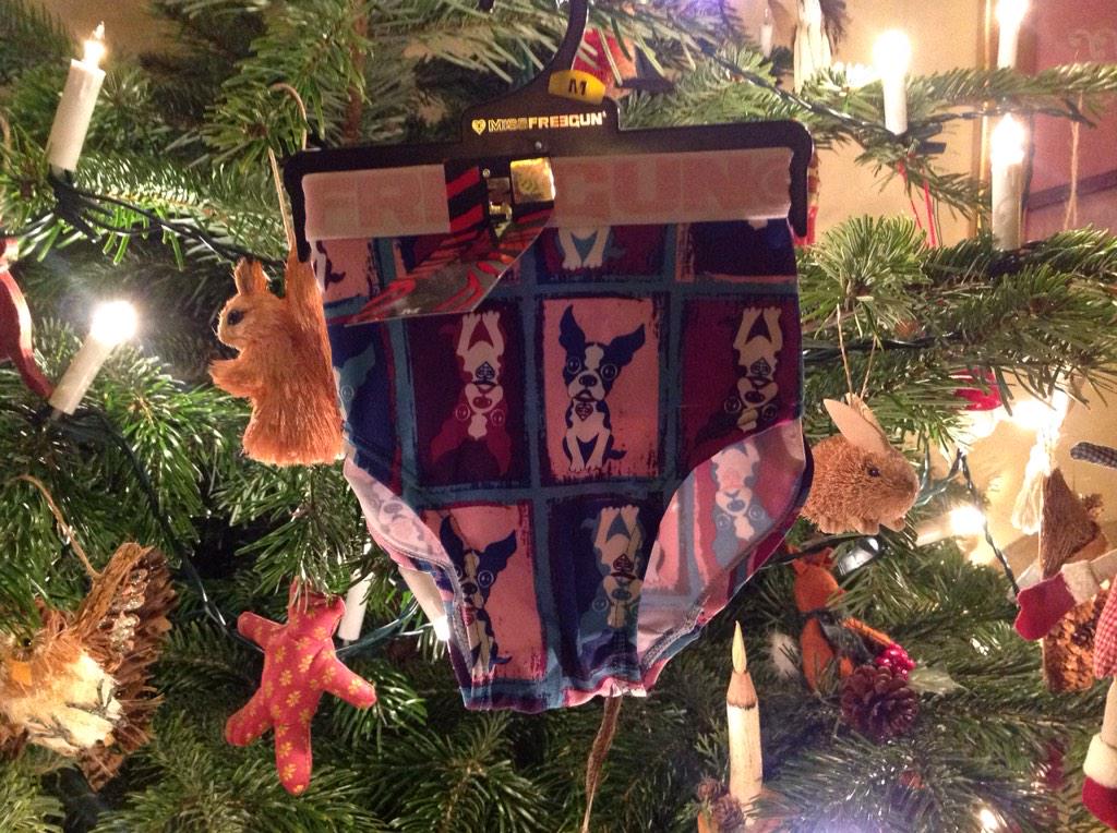 Live_Freeride's tweet photo. A dog is not just for Christmas ! These are fab! #frenchbulldog #frenchies #christmasgift @freegunuk.co.uk http://t.co/pYD4z2wQaT