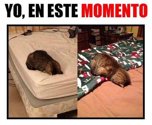 JeenRom's tweet photo. Es que sueñito... http://t.co/CGZC6aodAm