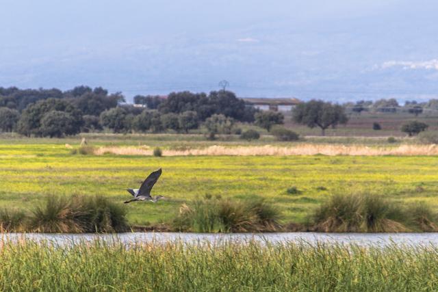 SltCnmg's tweet photo. Monfragüe, donde los pájaros se convierten en aves ;-) http://t.co/jKvp87X239 #MasQueMonfrague http://t.co/RjtRTHZOFN