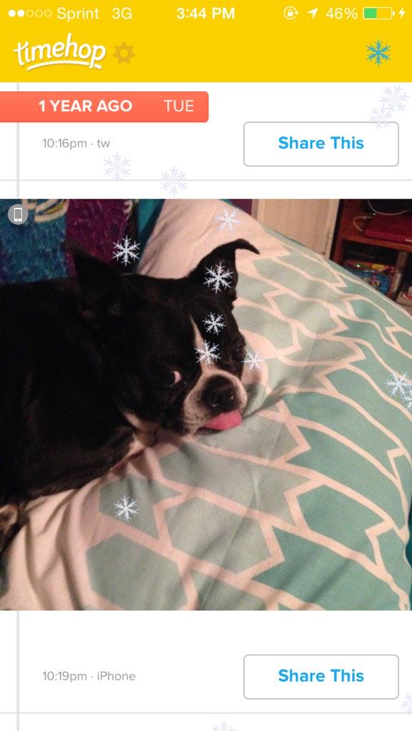 themalcolm_a's tweet photo. look at how cute boi is and look at how cute those little snowflakes are. http://t.co/ieseomLrN2