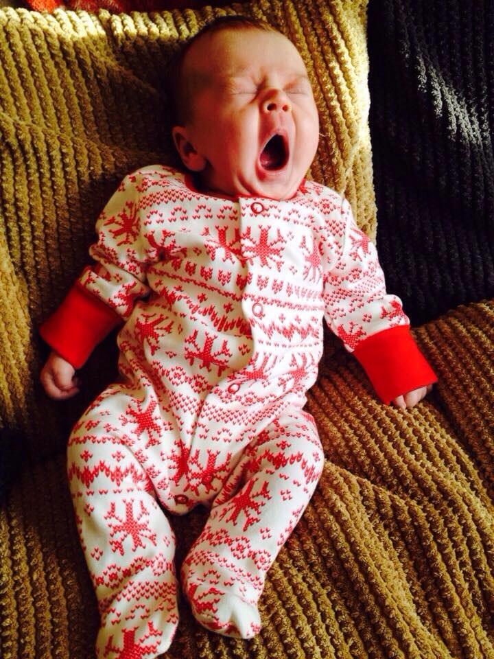 NikkiSweet_xo's tweet photo. My little pudding 💤❤️ http://t.co/JB0E3uzSwl