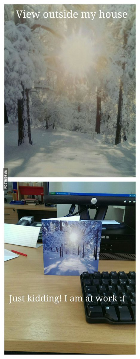 Foxaki_'s tweet photo. What a lovely day!
http://t.co/EhCgCWPFGf http://t.co/in6sASz69n