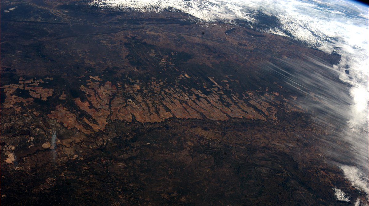 Astro_Alex's tweet image. Wildfires in South America. #BlueDot archives flic.kr/p/qrSg8L