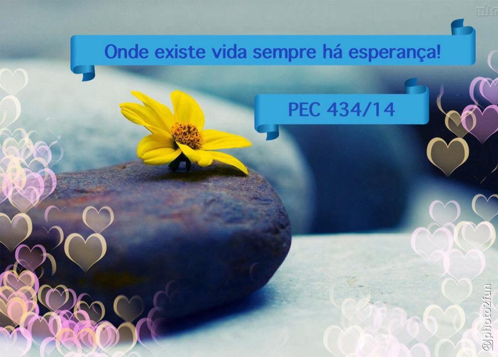 estelagrazz53's tweet photo. @ricardotripoli @dsbrissia Nossos sinceros agradecimentos aprovação #PEC434(#PEC170)! http://t.co/e8F74TgzNI