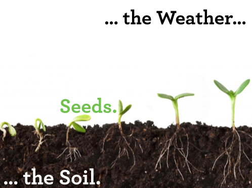 ReneCC's tweet image. Dalam proses tumbuh kembang ada 3 elemen penting: benih, tanah &amp;amp; iklim #CareerSnippet